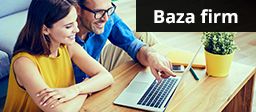 Logo Baza firm